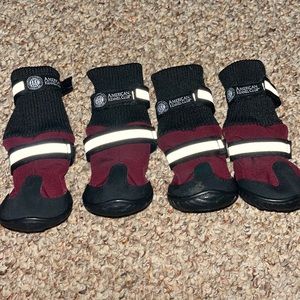 Dog Booties